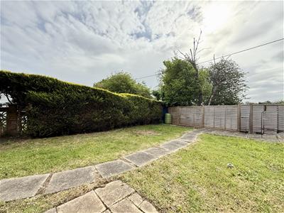 Picture 23